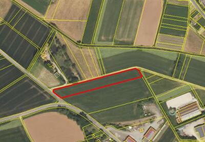 Ackerland in Kleines Flürlein , 97737 Gemünden, Steinfeld - Bild 1