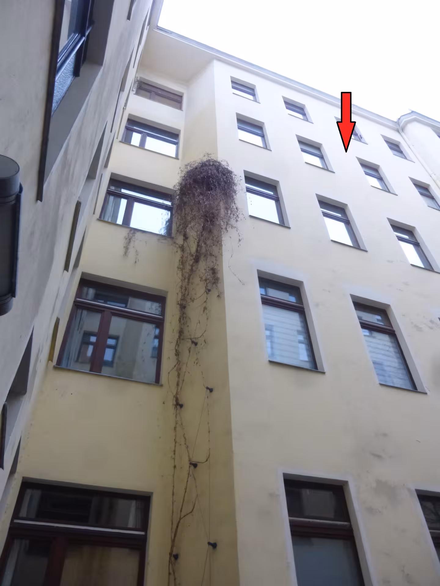 Eigentumswohnung (1 bis 2 Zimmer) in Berlin - Bild 4