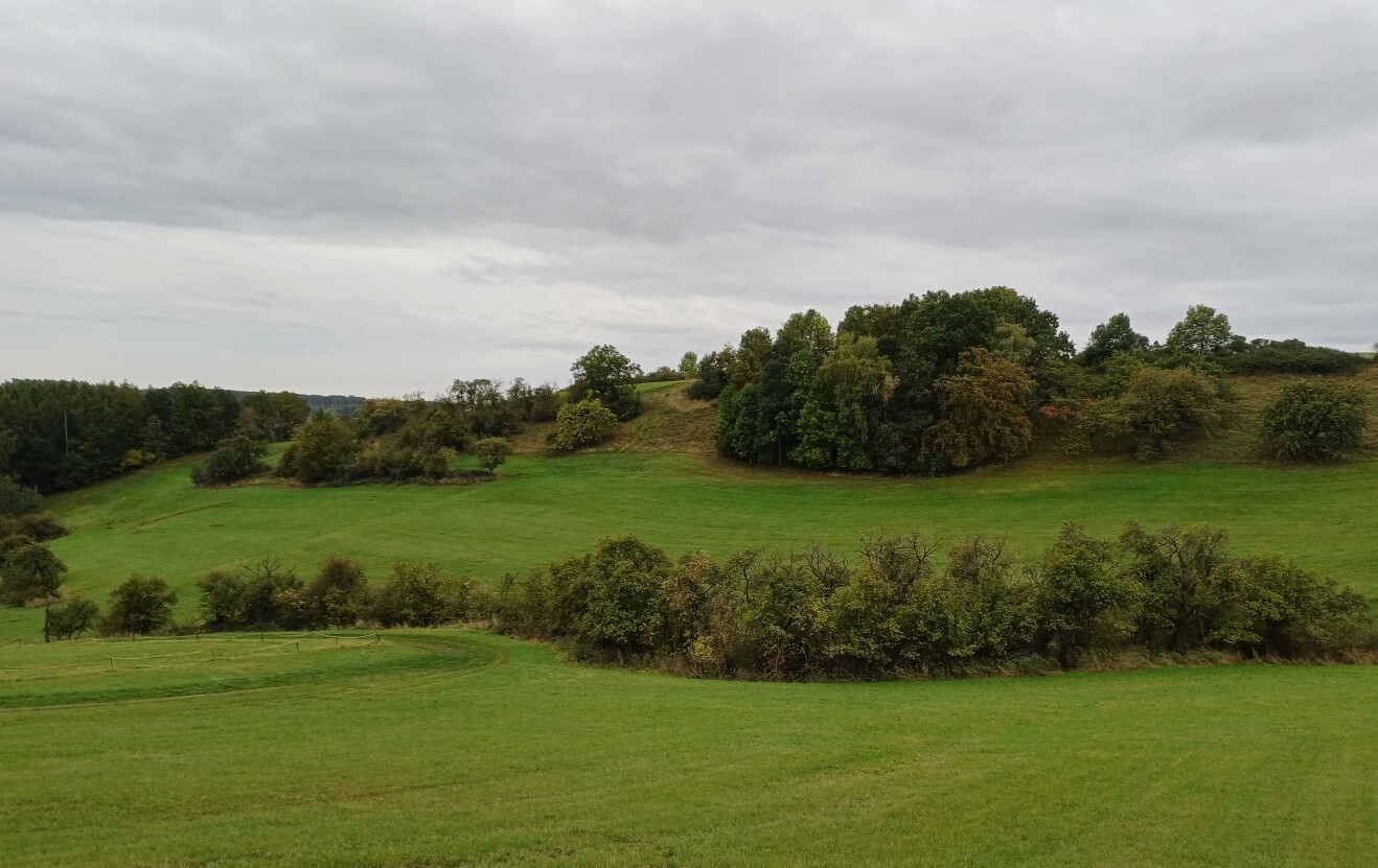 land- und forstwirtschaftlich genutztes Grundstück in Kraftsdorf - Bild 2