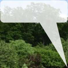 Zweifamilienhaus, Garage, Sonstiges, Scheune mit angebauter Garage, Gerätehalle in Thalmässing - Bild 2