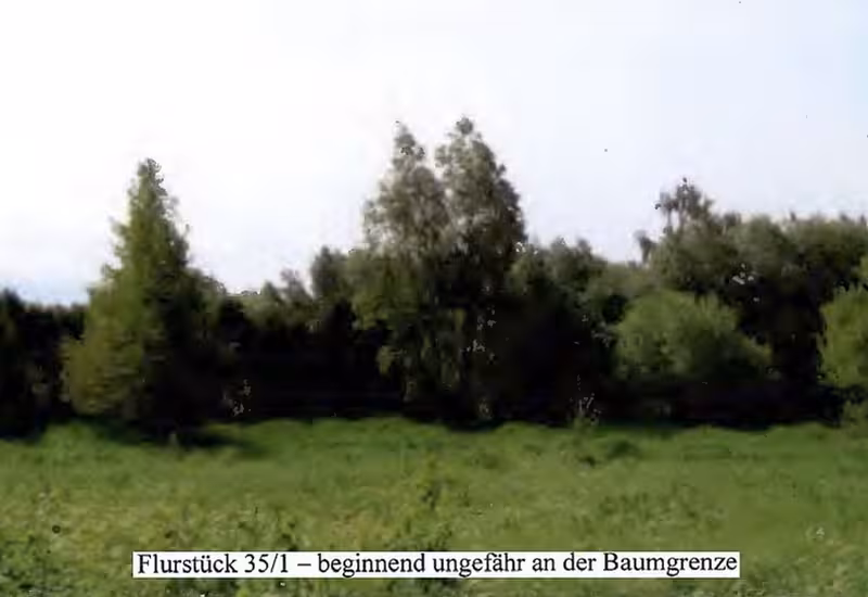 Unlandartige Brachflächen in Mölschow - Bild 2