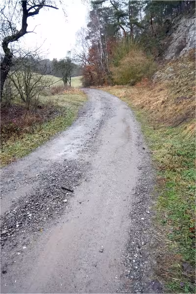 unbebautes Grundstück, land- und forstwirtschaftlich genutztes Grundstück in . ., 06536 Südharz, Wickerode - Bild 1