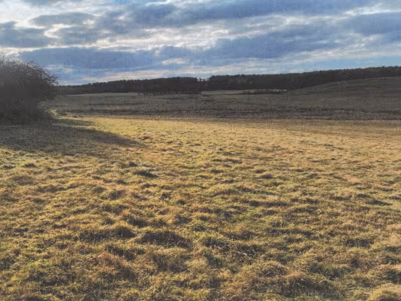 Grünland in Wellmitz - Bild 1