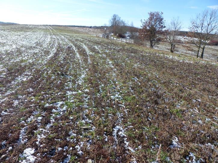 unbebautes Grundstück in Lengenfeld - Bild 1