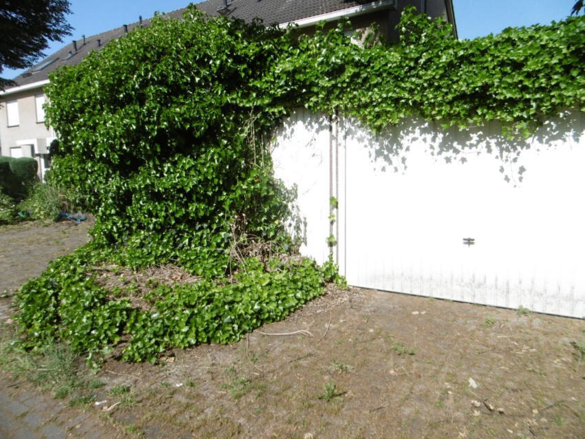 Reihenhaus in Herne - Bild 4