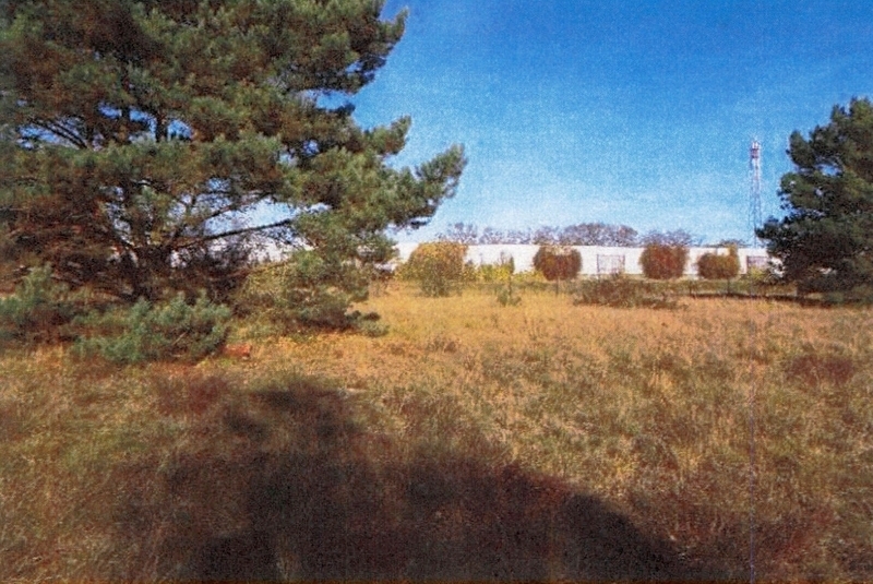 Zwei Grundstücke (Gewässer-/Gehölz- und Grünlandflächen) in Möser - Bild 4