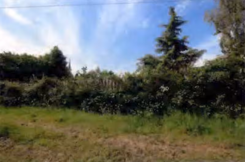 Wohnhaus und Praxis-/Klinikgebäude in Wolgast - Bild 2