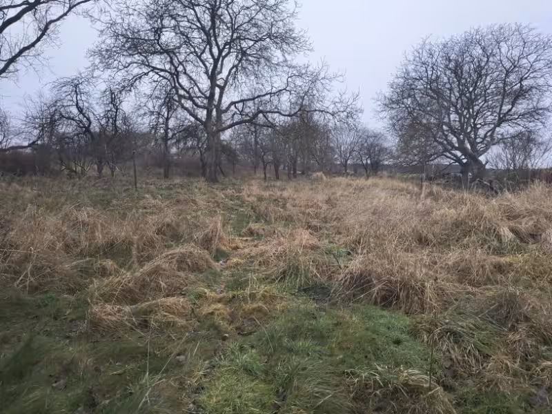 Wohnhaus mit Stallteil (ruinöser Zustand) in Bassin - Bild 4