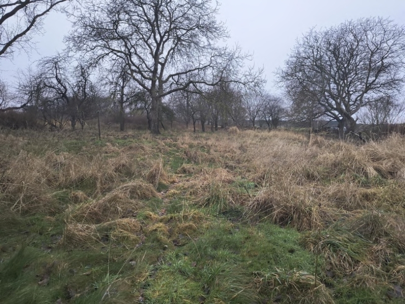Wohnhaus mit Stallteil (ruinöser Zustand) in Bassin - Bild 4