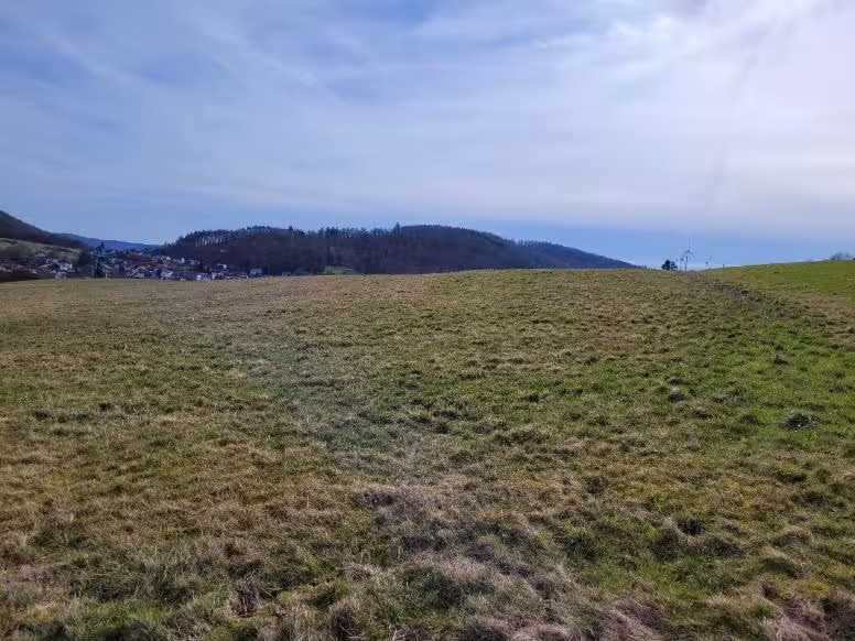 land- und forstwirtschaftlich genutztes Grundstück in Steffenberg - Bild 19