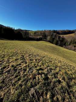 Landwirtschaftsfläche in Anger - Bild 2