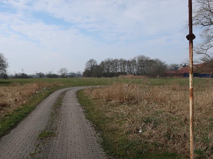 land- und forstwirtschaftlich genutztes Grundstück, überwiegend landwirtschaftliche Nutzflächen, welche als Grünland genutzt werden in Leer (Ostfriesland) - Bild 3