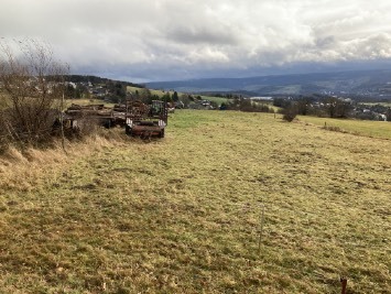 land- und forstwirtschaftlich genutztes Grundstück in Lauter-Bernsbach - Bild 3