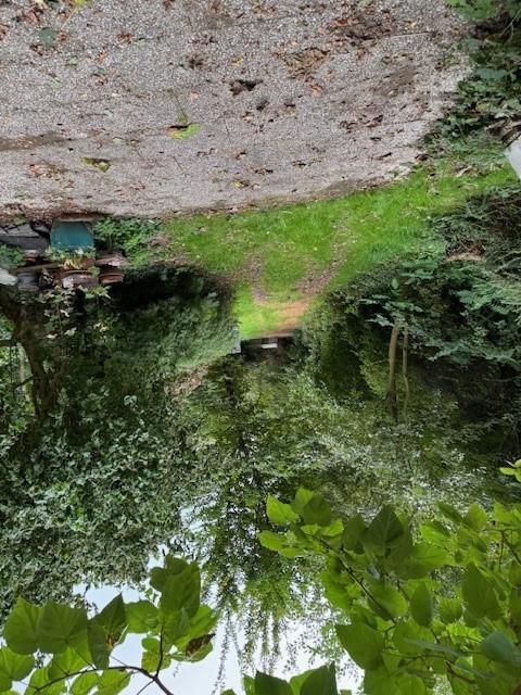 Sonstiges, unbebautes Grundstück in Nettetal - Bild 2