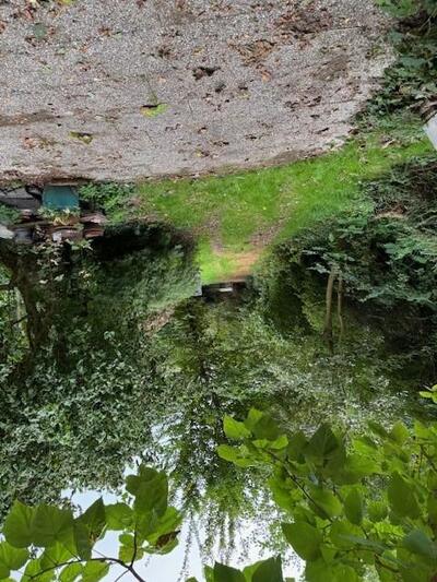 Sonstiges, unbebautes Grundstück in Entenpfand, Bauten Erb, 41334 Nettetal, Kaldenkirchen - Bild 2
