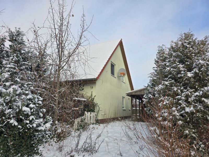 Einfamilienwohnhaus mit Einliegerwohnung und Nebengebäuden in Tessin - Bild 1