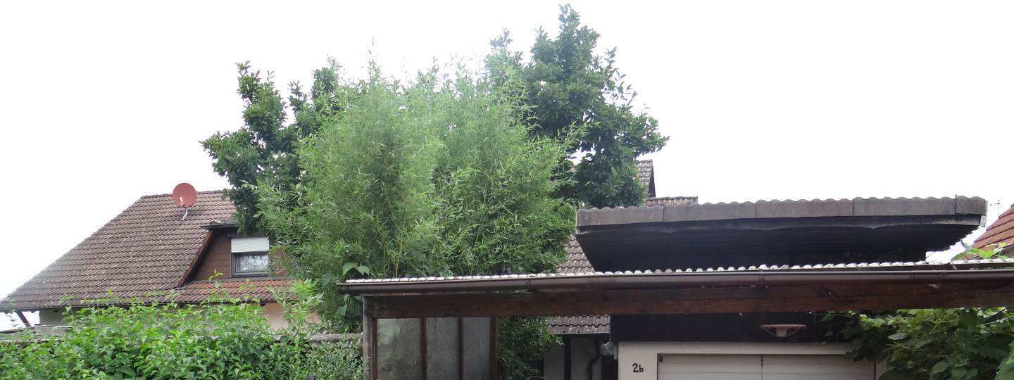 Eigentumswohnung (ab 5 Zimmer) in Lichtenfels - Bild 3