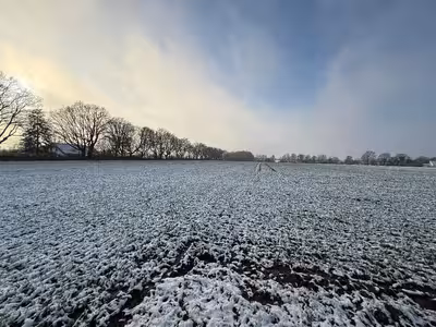 land- und forstwirtschaftlich genutztes Grundstück in , 47574 Goch, Nierswalde - Bild 1