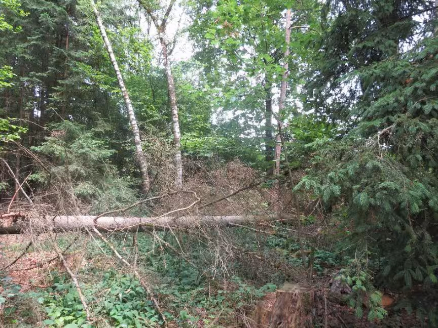 s. Beschreibung in Lichtenfels - Bild 3