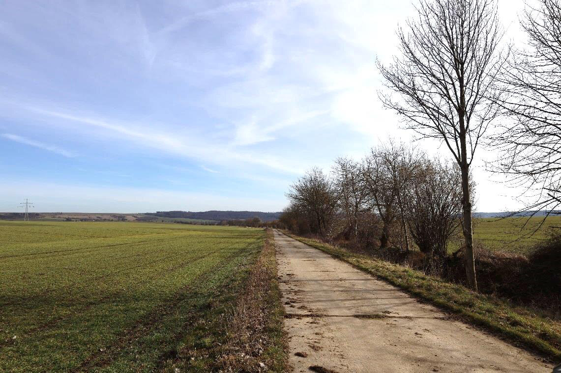 land- und forstwirtschaftlich genutztes Grundstück, Ackerland in An der Poststraße - Bild 3