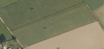 Landwirtschaftsfläche in Hammerau, 92637 Weiden i.d.OPf. - Bild 1