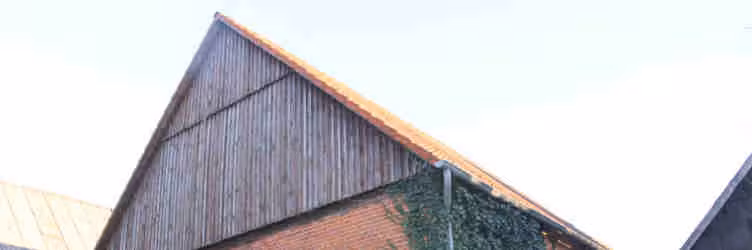 Einfamilienhaus in Esperde - Bild 8