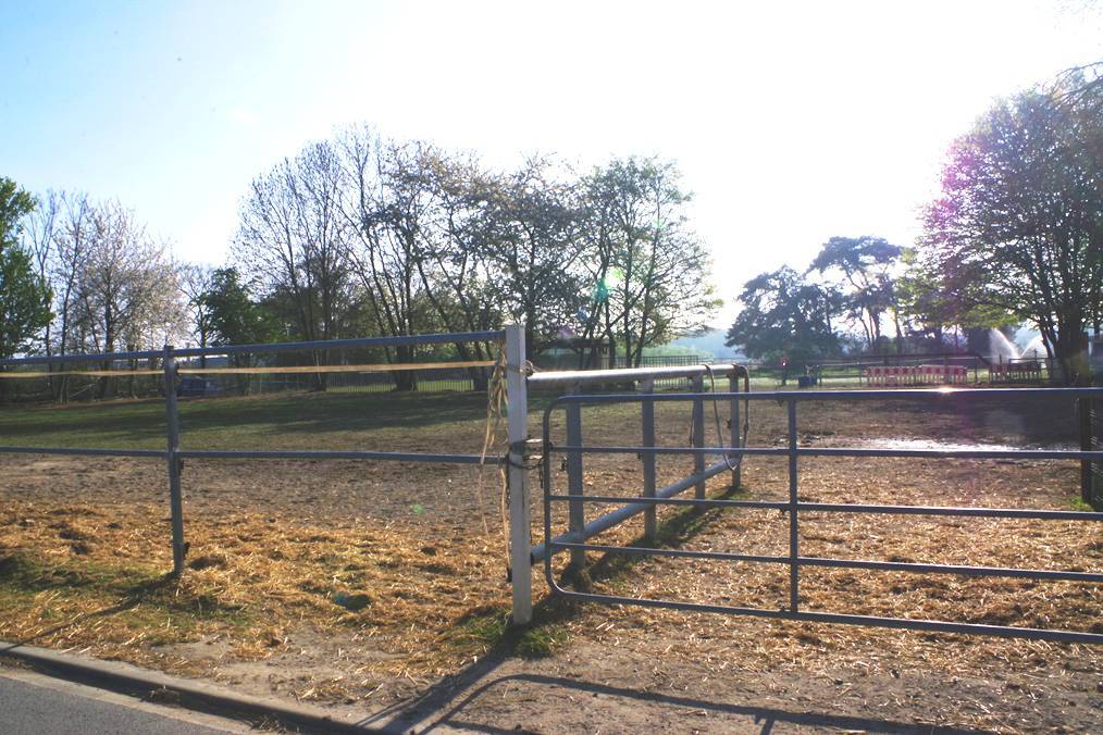 land- und forstwirtschaftlich genutztes Grundstück in Korschenbroich - Bild 3