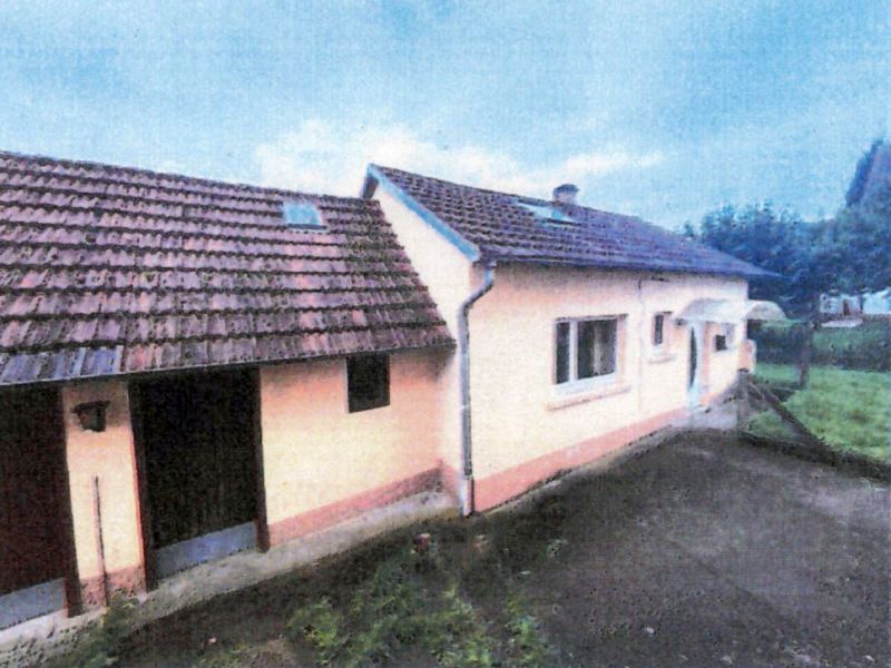 Einfamilienhaus mit Nebengebäude, Doppel- und Einzelgarage in Bad Rappenau - Bild 1
