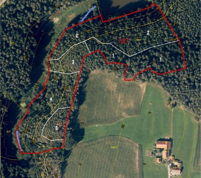 land- und forstwirtschaftlich genutztes Grundstück in Gemarkung Reichenbach Flst. 527, 00000 Stockberg - Bild 1