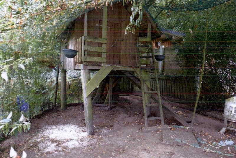 Einfamilienhaus mit Nebengebäuden in Oelixdorf - Bild 3