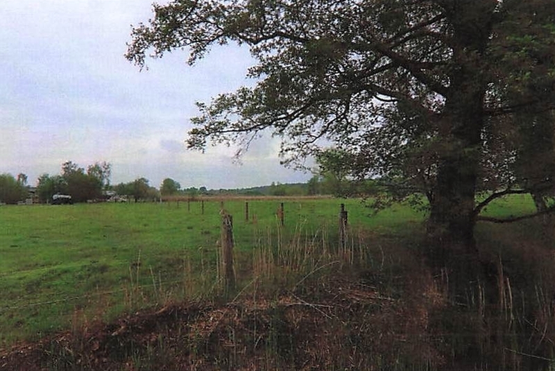 Land-/Forstwirtschaftsflächen und Gartenlandflächen in Schönewalde - Bild 3