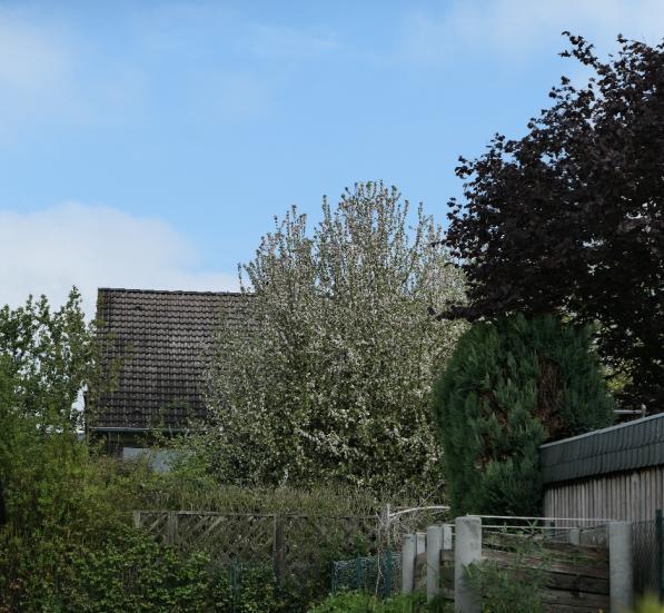 Einfamilienhaus, Garage in Grebenstein - Bild 3