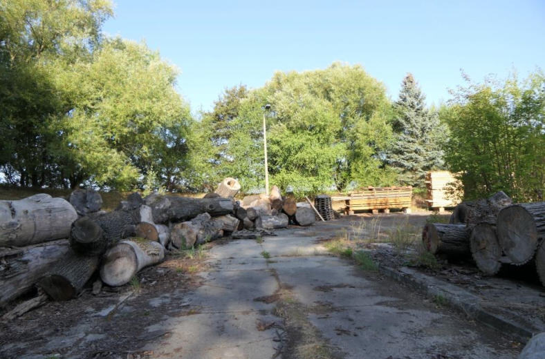 unbebautes Grundstück in Großschönau - Bild 4