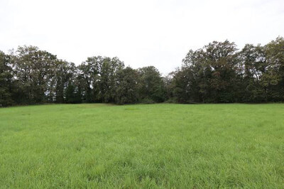 unbebaute Land- und Forstwirtschaftsfläche in am südlichen Rand von Jesau, 01917 Kamenz, OT Jesau - Bild 1