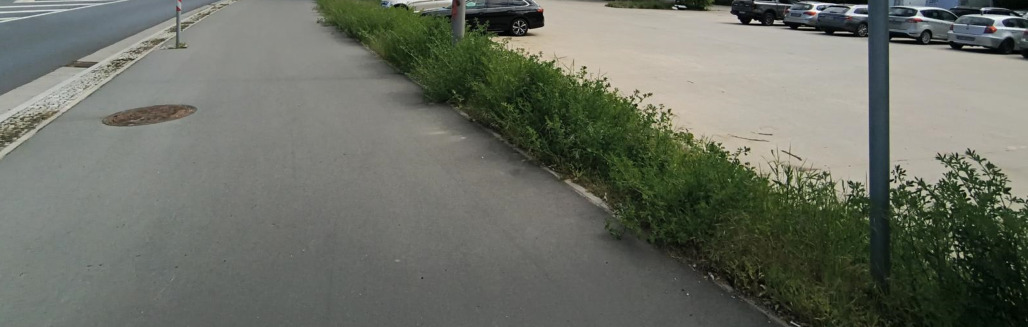 unbebautes Grundstück in Berlin - Bild 3