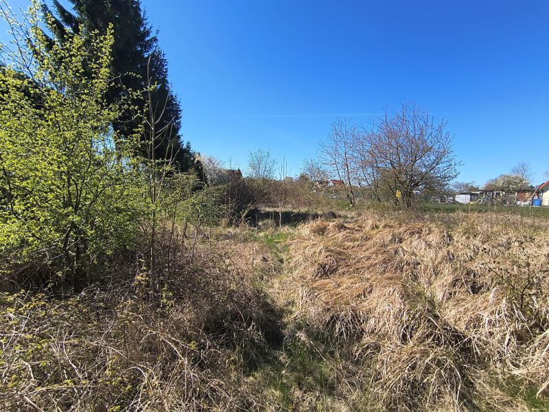 Unbebautes Grundstück in Altenkirchen - Bild 3