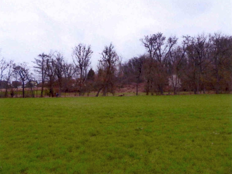 Landwirtschaftsflächen in Ludwigsburg - Bild 2