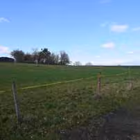 Landwirtschaftsfläche, Grünland in Gerhardshofen - Bild 1