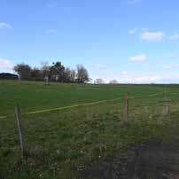 Landwirtschaftsfläche, Grünland in In Linden, 91466 Gerhardshofen - Bild 1