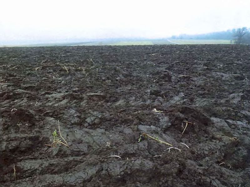 Landwirtschaftsflächen in Sachsenheim - Bild 4
