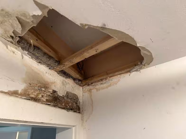 Mehrfamilienhaus in Einbeck - Bild 15