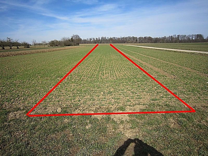 Landwirtschaftsfläche in Wolfschlugen - Bild 2
