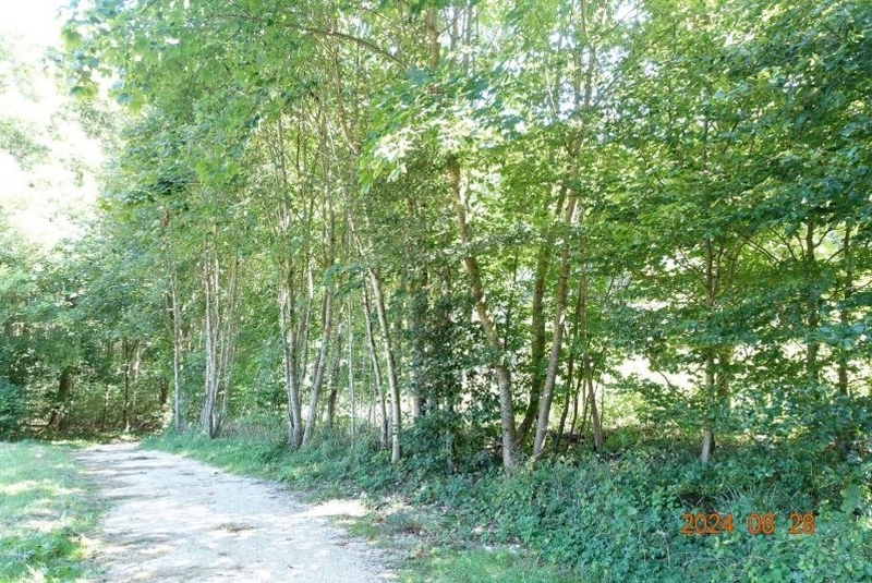 Zweifamilienhaus, landwirtschaftl. Betriebsgebäude, Landwirtschaftsflächen in Lenningen - Bild 3