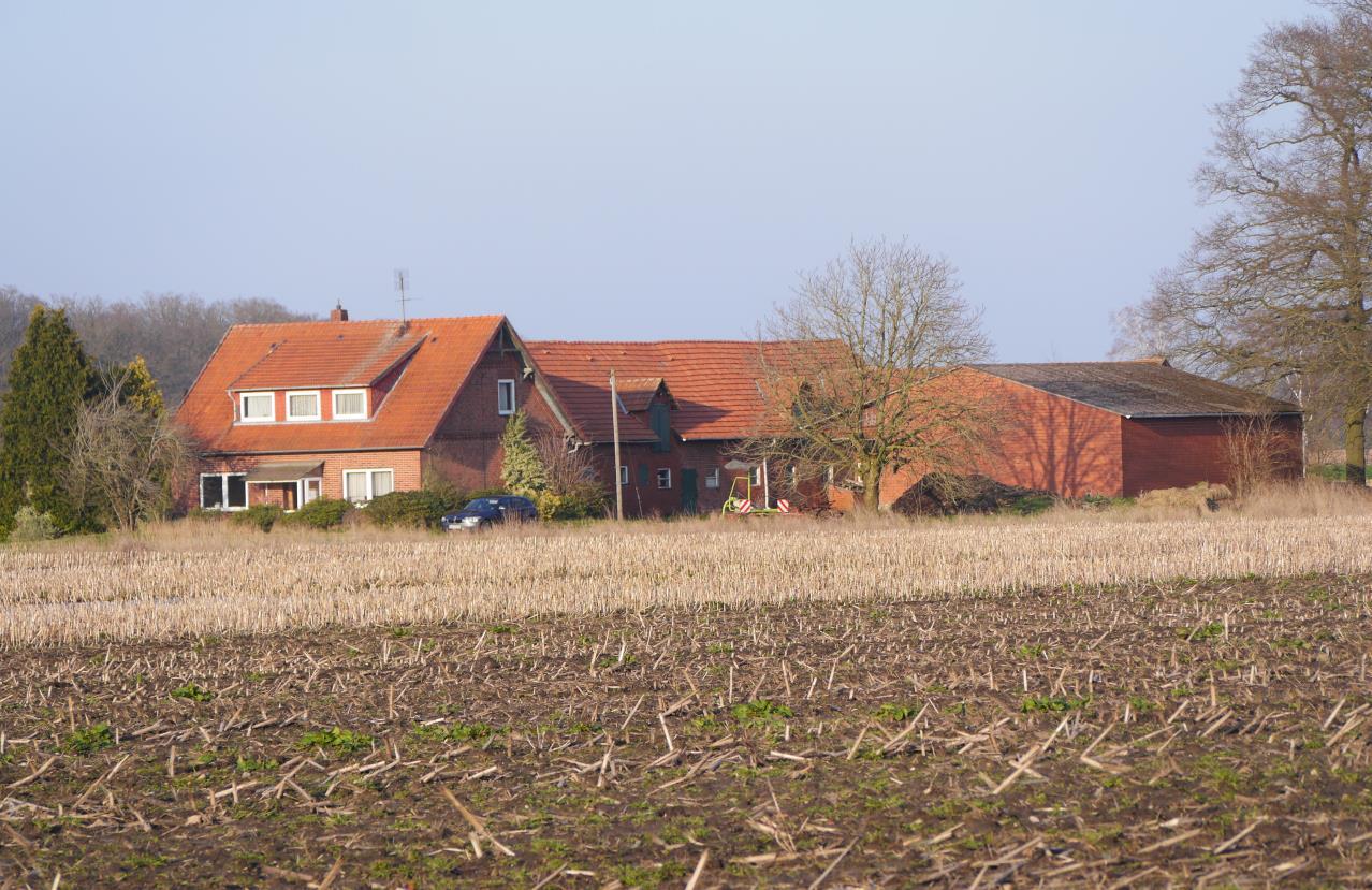 land- und forstwirtschaftlich genutztes Grundstück in Bruchhausen-Vilsen - Bild 2