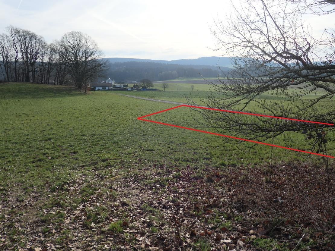 land- und forstwirtschaftlich genutztes Grundstück, Grünland in Wrexen - Bild 1