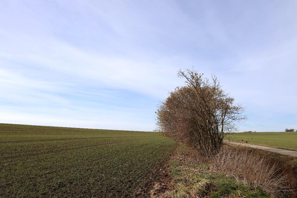 land- und forstwirtschaftlich genutztes Grundstück, Ackerland in An der Poststraße - Bild 2