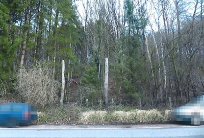 Waldfläche in , 21039 Escheburg - Bild 2