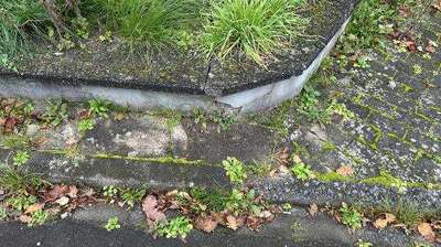 Wohn-/Geschäftshaus in Hinterstraße 3, 35630 Ehringshausen, Breitenbach - Bild 1