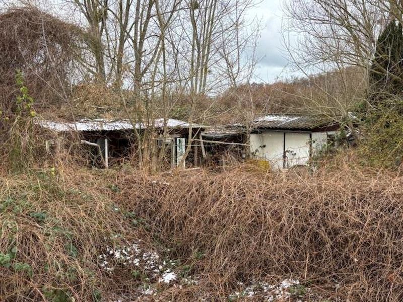 Ehemalige Gartenanlage in Neubrandenburg - Bild 4