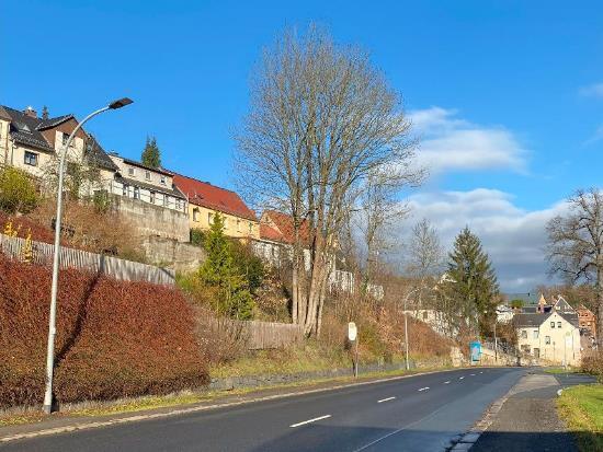 Einfamilienhaus in Kirchberg - Bild 4